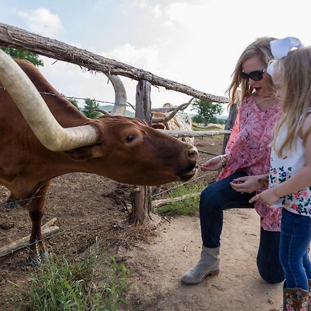 Wildcatter Ranch And Resort Graham Екстер'єр фото